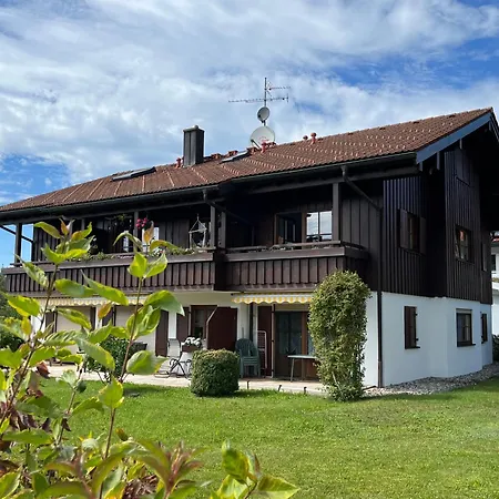 Hirsch Im Allgaeu