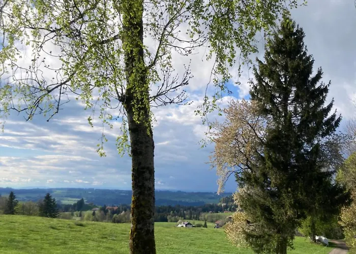 Hirsch Im Allgäu Apartment Oberreute