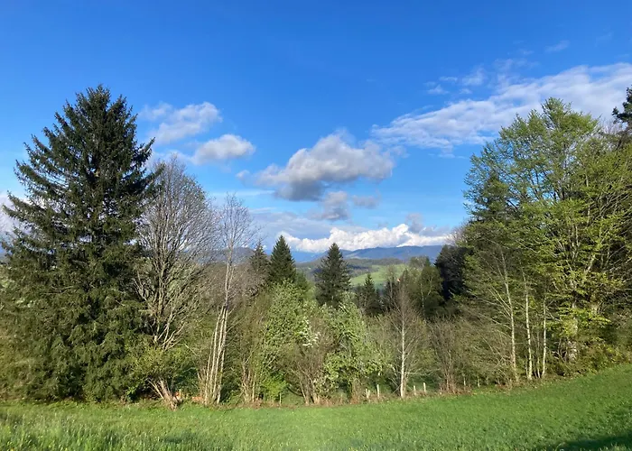 Hirsch Im Allgäu Apartment Oberreute