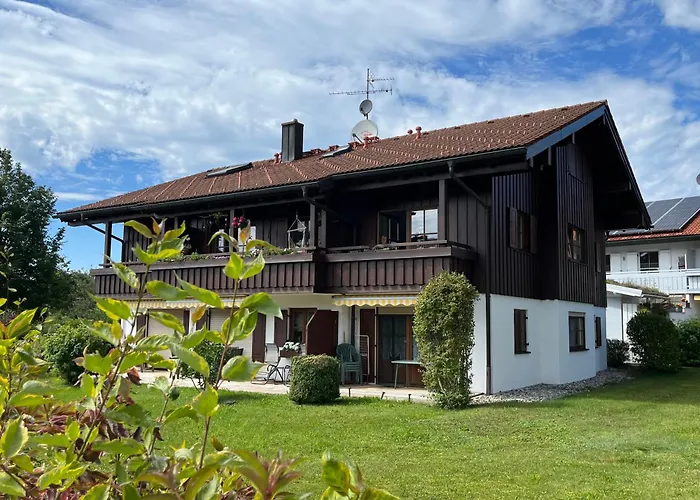 Hirsch Im Allgäu