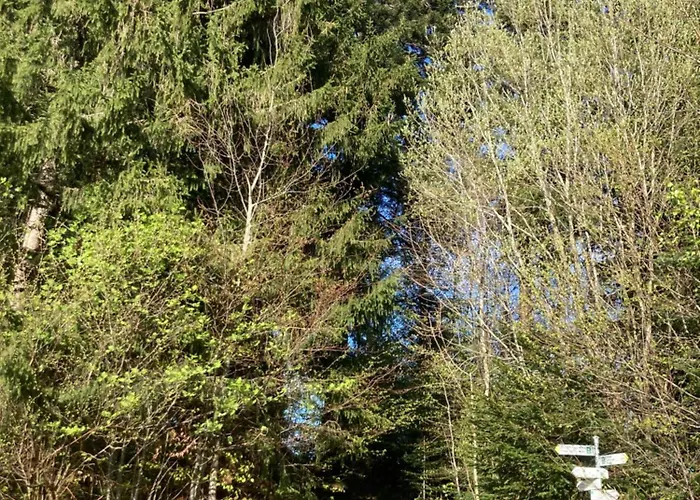Lejlighed Hirsch Im Allgaeu *